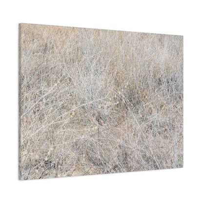Tangled Whispers of Autumn's Fading Breath - Unique Frameless Canvas Wall Art - Art By Earth