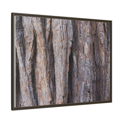 Ancient Grains - Unique Stretched Canvas Wall Art