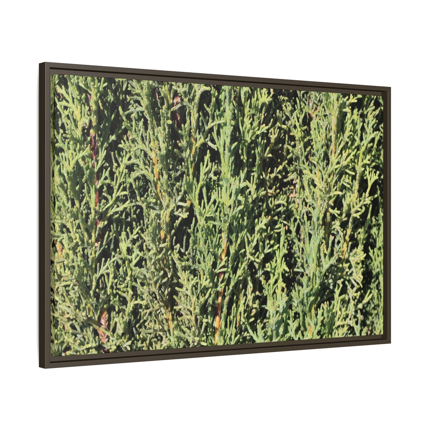 Emerald Labyrinth - Unique Stretched Canvas Wall Art - Art By Earth