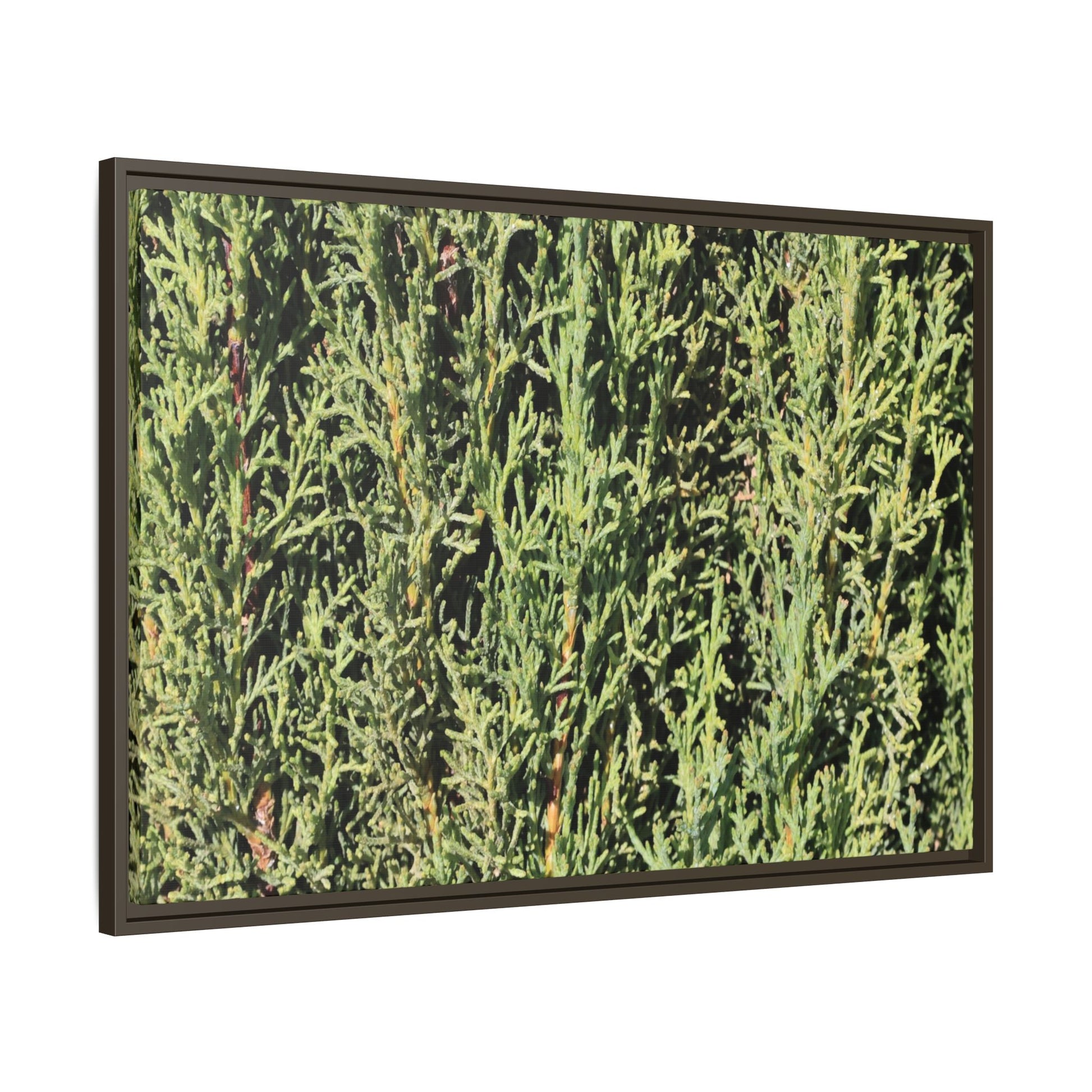 Emerald Labyrinth - Unique Stretched Canvas Wall Art - Art By Earth