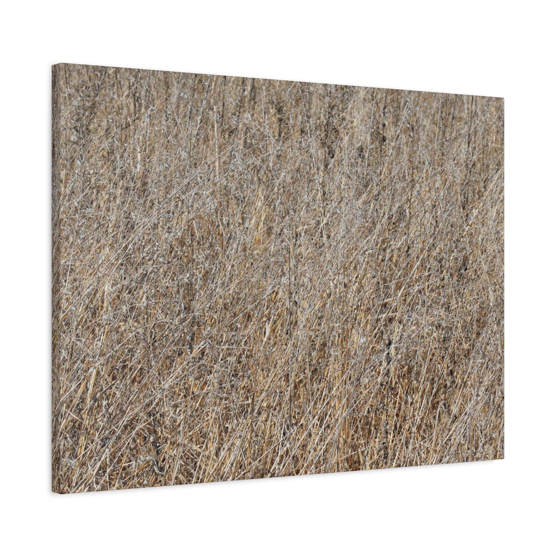 Silent Prairie - Unique Frameless Canvas Wall Art - Art By Earth