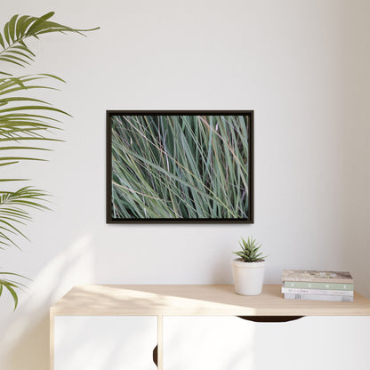 Grassland Symphony - Unique Stretched Canvas Wall Art