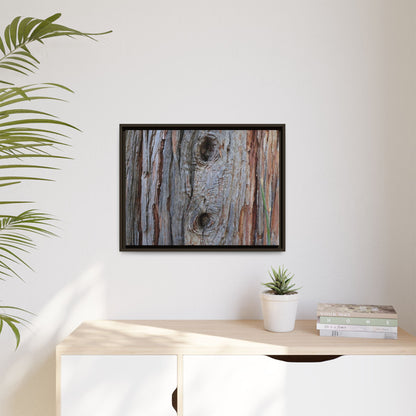 Knotty Nature - Unique Stretched Canvas Wall Art
