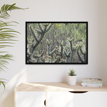 Prickly Paradise - Unique Stretched Canvas Wall Art