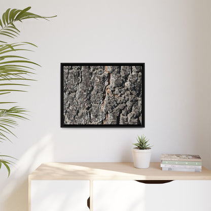 Aged Beauty - Unique Stretched Canvas Wall Art