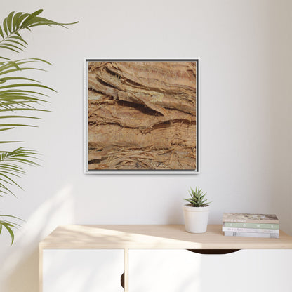 Splintered Bark - Unique Stretched Canvas Wall Art