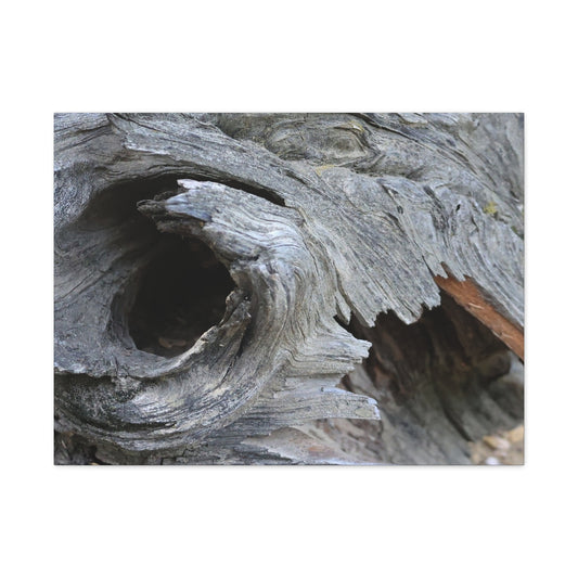 Twisted Whispers of the Forest Floor - Unique Frameless Canvas Wall Art