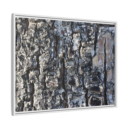 The Bark Chronicles - Unique Stretched Canvas Wall Art