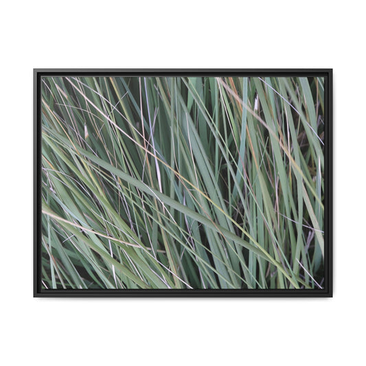 Grassland Symphony - Unique Stretched Canvas Wall Art