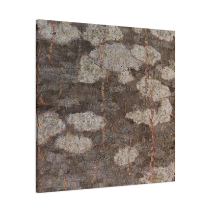 Earthen Memoir - Unique Frameless Canvas Wall Art