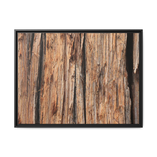 Timber Echoes - Unique Stretched Canvas Wall Art