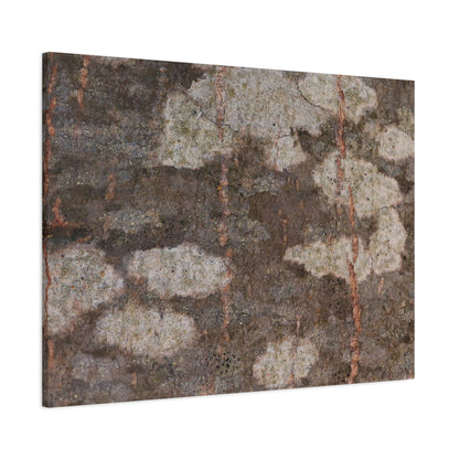 Earthen Memoir - Unique Frameless Canvas Wall Art