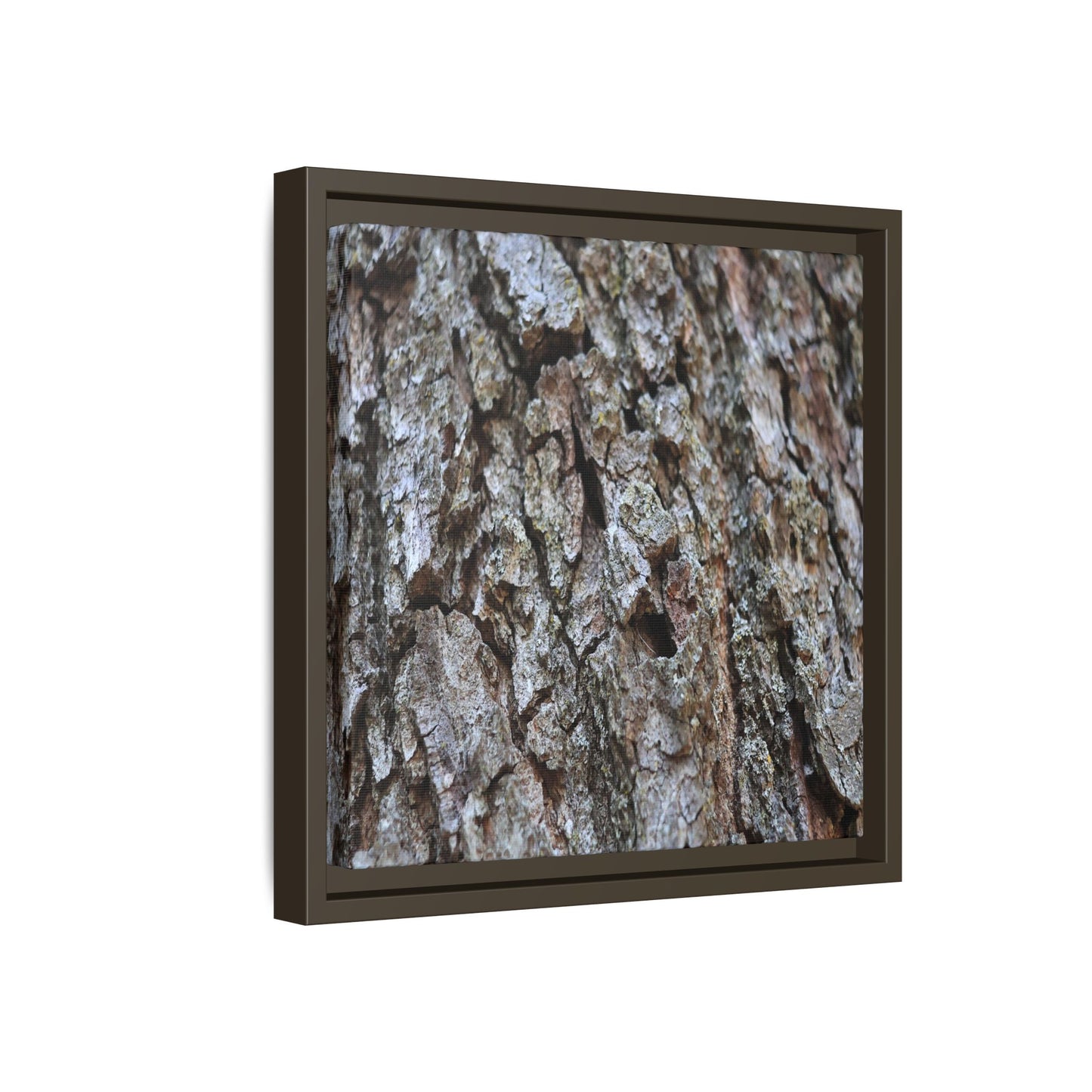 Woodland Canvas - Unique Stretched Canvas Wall Art