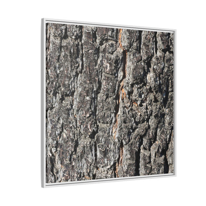Aged Beauty - Unique Stretched Canvas Wall Art