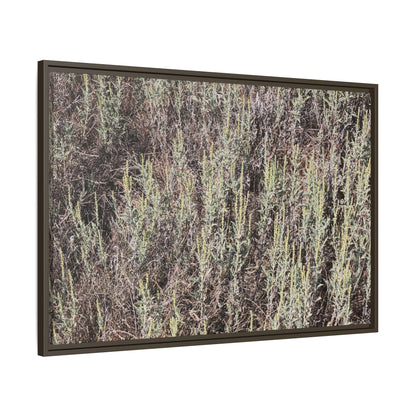 Sage Fields Forever - Unique Stretched Canvas Wall Art - Art By Earth