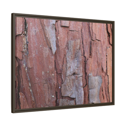 Peeling Bark - Unique Stretched Canvas Wall Art