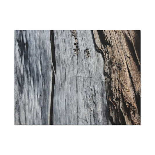 Fracture Lines - Unique Frameless Canvas Wall Art