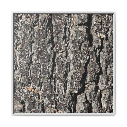 Bark Study in Gray - Unique Stretched Canvas Wall Art