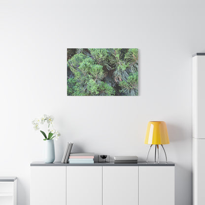 Green Labyrinth - Unique Frameless Canvas Wall Art