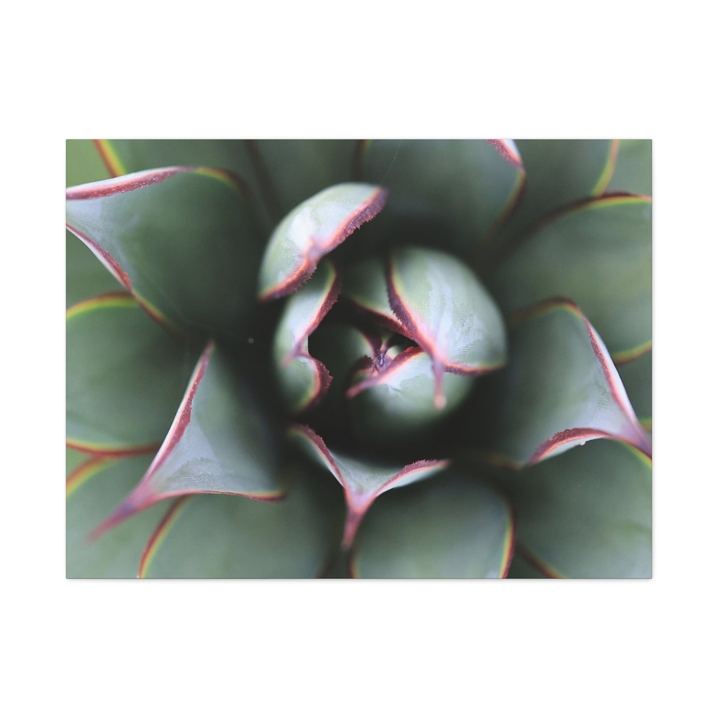 Emerald Spiral - Unique Frameless Canvas Wall Art