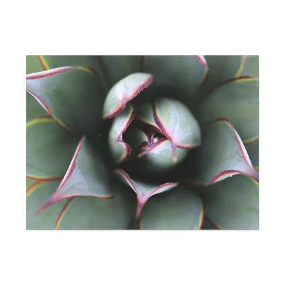 Emerald Spiral - Unique Frameless Canvas Wall Art
