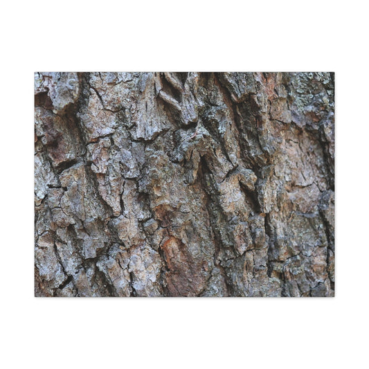 Rugged Canvas - Unique Frameless Canvas Wall Art