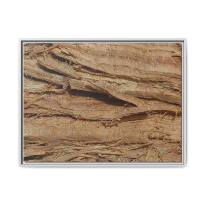 Splintered Bark - Unique Stretched Canvas Wall Art
