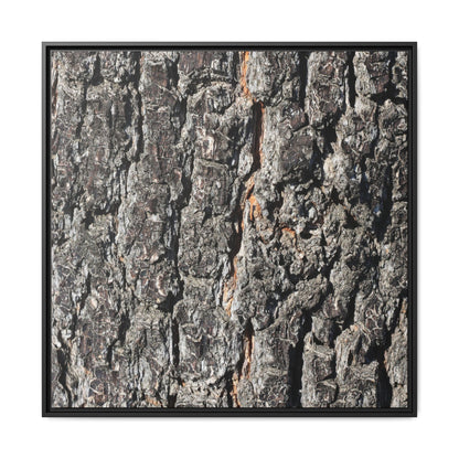 Aged Beauty - Unique Stretched Canvas Wall Art