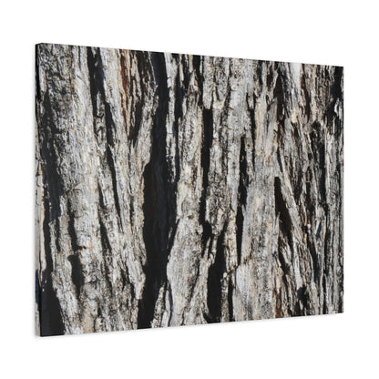 Bark Textures in Monochrome - Unique Frameless Canvas Wall Art