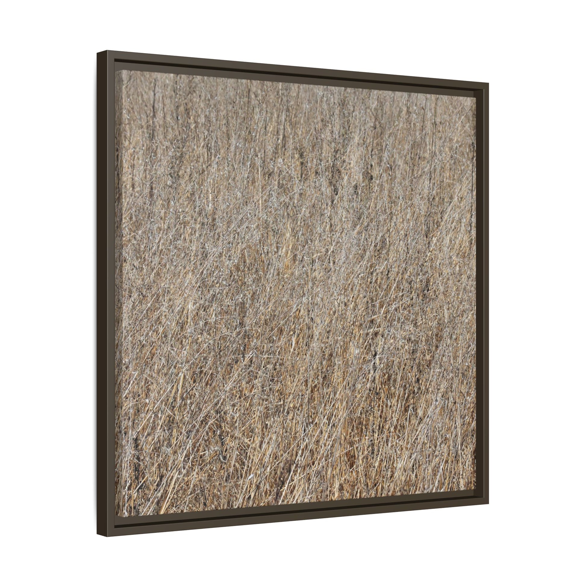Dry Straw Symphony - Unique Stretched Canvas Wall Art - Art By Earth