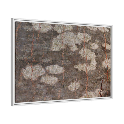 Lichen's Legacy - Unique Stretched Canvas Wall Art