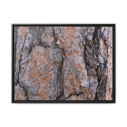 Tree Skin Symphony - Unique Stretched Canvas Wall Art