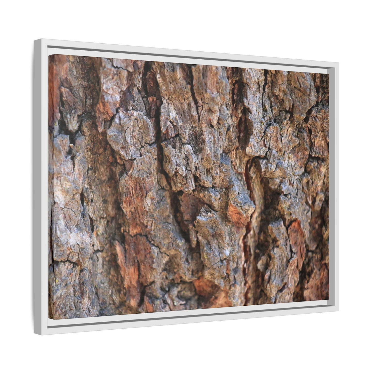 Craggy Textures - Unique Stretched Canvas Wall Art