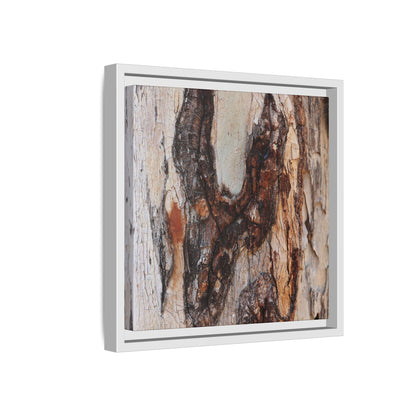 Texture of Time - Unique Stretched Canvas Wall Art