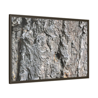 Crusty Exterior - Unique Stretched Canvas Wall Art