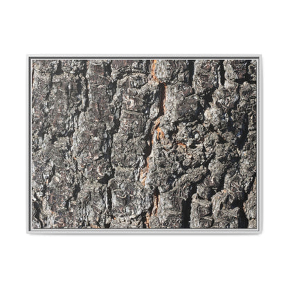 Aged Beauty - Unique Stretched Canvas Wall Art