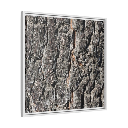 Aged Beauty - Unique Stretched Canvas Wall Art