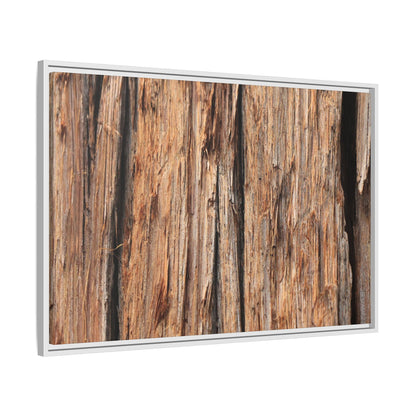 Timber Echoes - Unique Stretched Canvas Wall Art