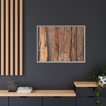 Echoes of Timber - Unique Stretched Canvas Wall Art