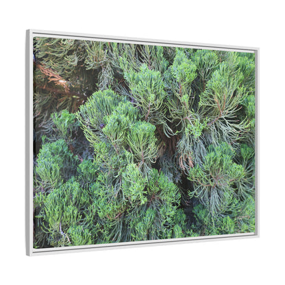 Verdant Whispers - Unique Stretched Canvas Wall Art