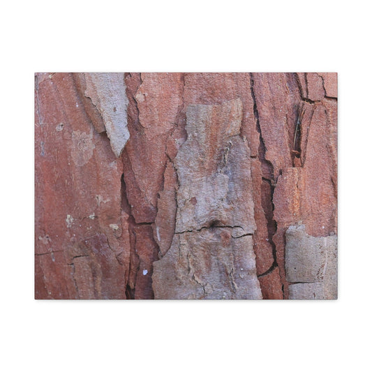 Fractal Rust - Unique Frameless Canvas Wall Art