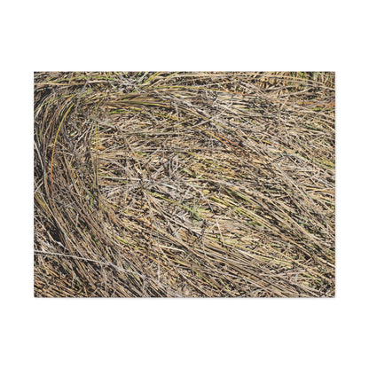 Tangled Hay - Unique Stretched Canvas Wall Art - Art By Earth