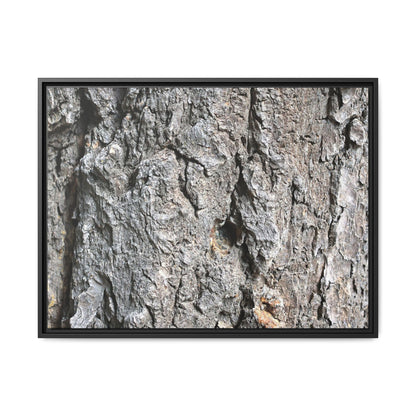 Crusty Exterior - Unique Stretched Canvas Wall Art