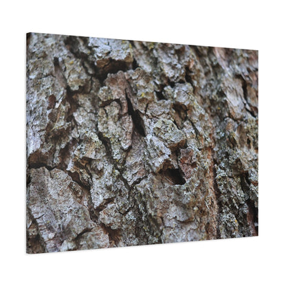 Cracked Echoes - Unique Frameless Canvas Wall Art