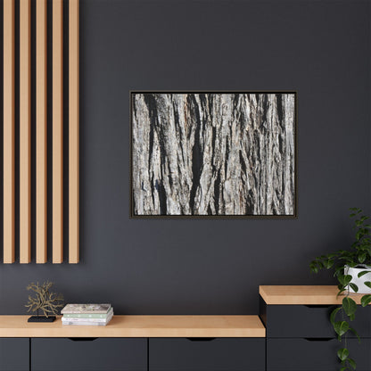 Bark Lines - Unique Stretched Canvas Wall Art