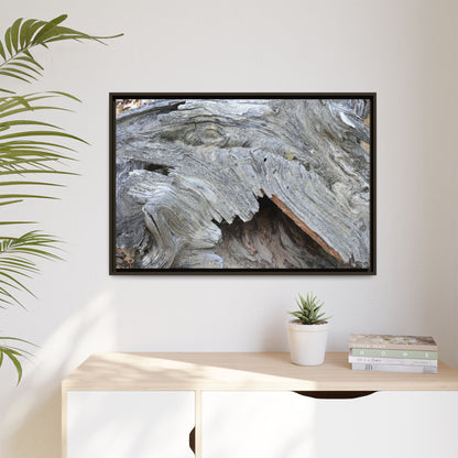 Driftwood Dreams - Unique Stretched Canvas Wall Art