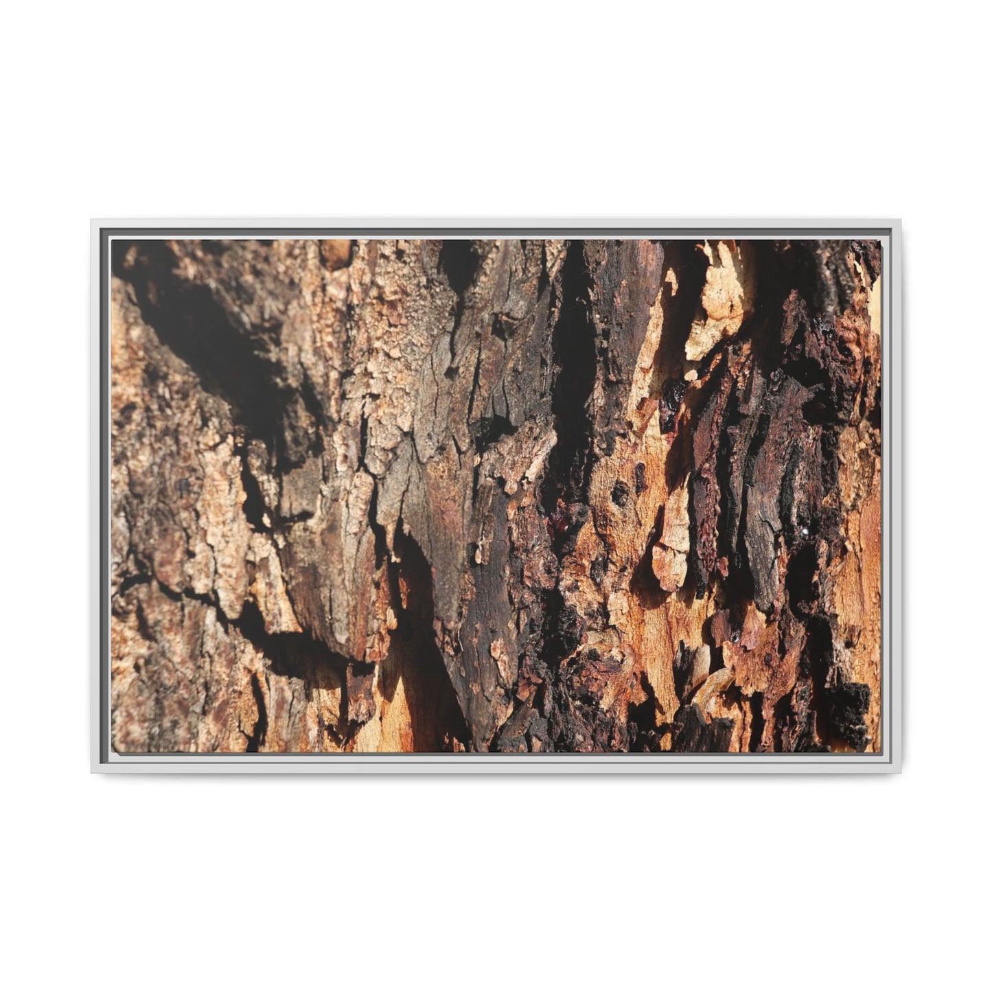 Rugged Beauty - Unique Stretched Canvas Wall Art