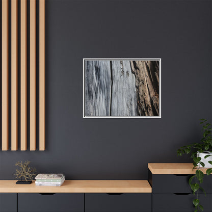 Wood's Lament - Unique Stretched Canvas Wall Art