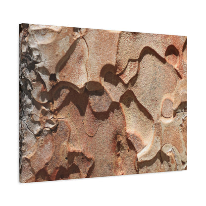 Terracotta Echoes - Unique Frameless Canvas Wall Art