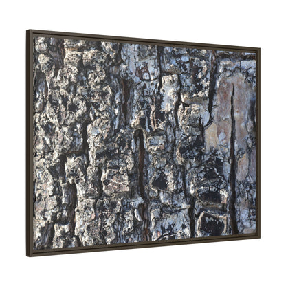 The Bark Chronicles - Unique Stretched Canvas Wall Art